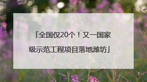 全国仅20个！又一国家级示范工程项目落地潍坊