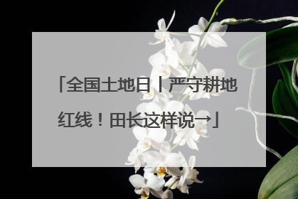 全国土地日丨严守耕地红线！田长这样说→