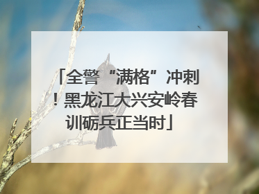 全警“满格”冲刺！黑龙江大兴安岭春训砺兵正当时