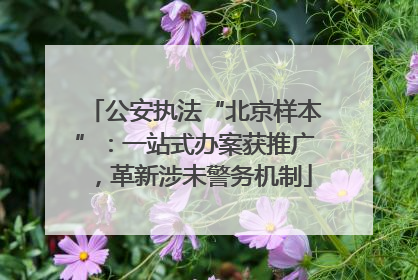 公安执法“北京样本”：一站式办案获推广，革新涉未警务机制