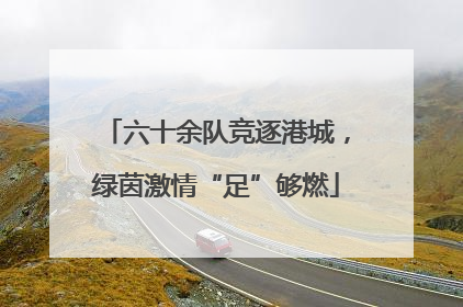 六十余队竞逐港城，绿茵激情“足”够燃