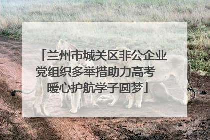 兰州市城关区非公企业党组织多举措助力高考 暖心护航学子圆梦