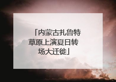 内蒙古扎鲁特草原上演夏日转场大迁徙