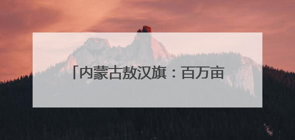 内蒙古敖汉旗：百万亩谷子播种启幕 续写“世界小米之乡”辉煌