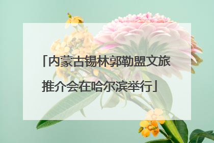 内蒙古锡林郭勒盟文旅推介会在哈尔滨举行