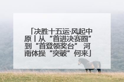 决胜十五运·风起中原丨从“首进决赛圈”到“首登领奖台” 河南体操“突破”何来
