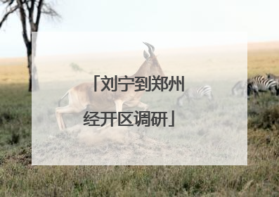 刘宁到郑州经开区调研