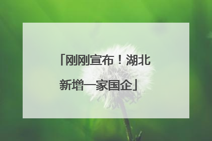 刚刚宣布！湖北新增一家国企