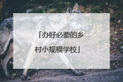 办好必要的乡村小规模学校