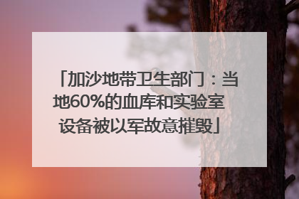加沙地带卫生部门：当地60%的血库和实验室设备被以军故意摧毁