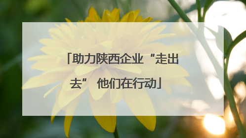 助力陕西企业“走出去” 他们在行动
