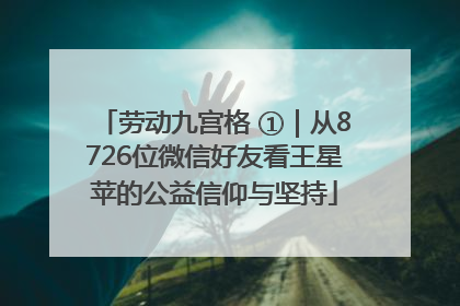 劳动九宫格 ①｜从8726位微信好友看王星苹的公益信仰与坚持