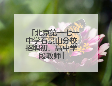 北京第一七一中学石景山分校招聘初、高中学段教师