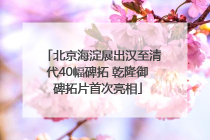 北京海淀展出汉至清代40幅碑拓 乾隆御碑拓片首次亮相