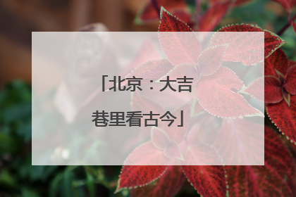 北京：大吉巷里看古今