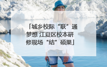 城乡校际“联”通梦想 江夏区校本研修现场“结”硕果
