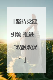 坚持党建引领 推进“双融双促”