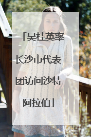 吴桂英率长沙市代表团访问沙特阿拉伯