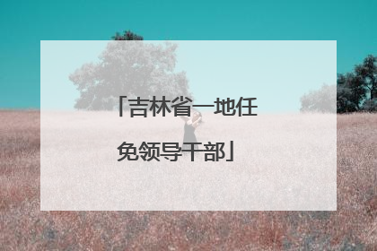 吉林省一地任免领导干部