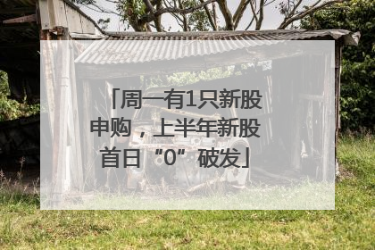 周一有1只新股申购，上半年新股首日“0”破发