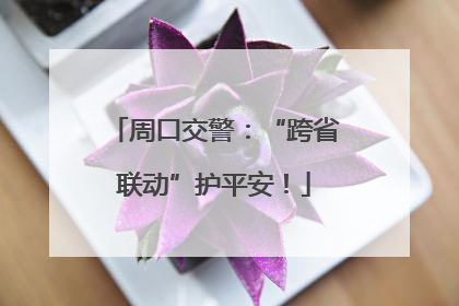 周口交警：“跨省联动”护平安！