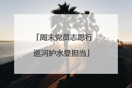 周末党员志愿行 巡河护水显担当