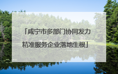 咸宁市多部门协同发力 精准服务企业落地生根