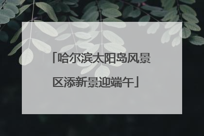 哈尔滨太阳岛风景区添新景迎端午
