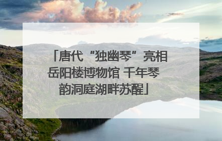 唐代“独幽琴”亮相岳阳楼博物馆 千年琴韵洞庭湖畔苏醒