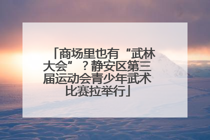 商场里也有“武林大会”？静安区第三届运动会青少年武术比赛拉举行