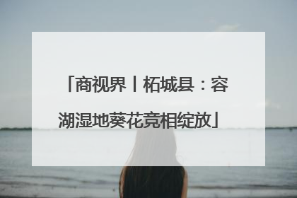 商视界丨柘城县：容湖湿地葵花竞相绽放