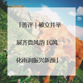 善评｜破立并举展齐鲁风韵 民风化雨润振兴新颜