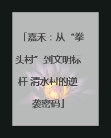 嘉禾：从“拳头村”到文明标杆 清水村的逆袭密码