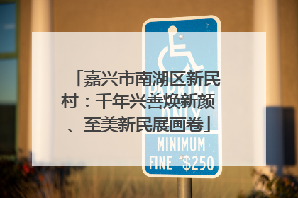嘉兴市南湖区新民村：千年兴善焕新颜、至美新民展画卷