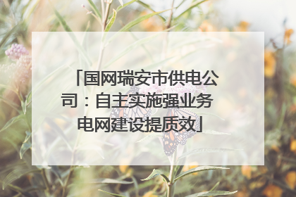 国网瑞安市供电公司：自主实施强业务 电网建设提质效