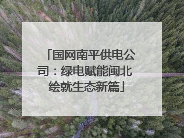 国网南平供电公司：绿电赋能闽北 绘就生态新篇