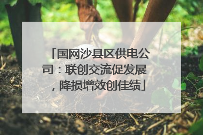 国网沙县区供电公司：联创交流促发展，降损增效创佳绩