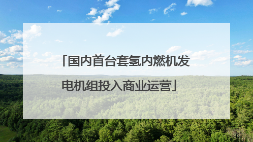 国内首台套氢内燃机发电机组投入商业运营