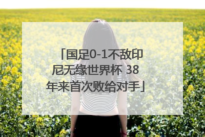 国足0-1不敌印尼无缘世界杯 38年来首次败给对手
