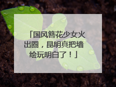 国风簪花少女火出圈，昆明真把墙绘玩明白了！