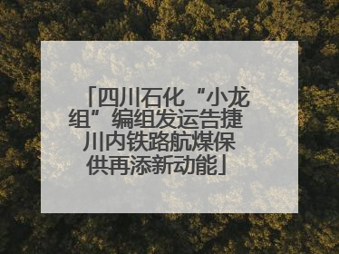 四川石化“小龙组”编组发运告捷 川内铁路航煤保供再添新动能