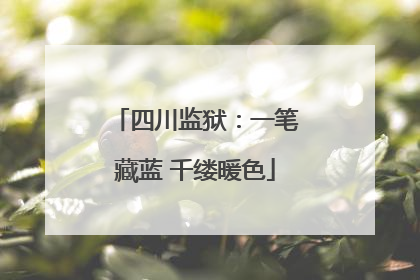 四川监狱：一笔藏蓝 千缕暖色