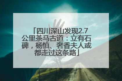四川深山发现2.7公里茶马古道：立有石碑，杨慎、奢香夫人或都走过这条路