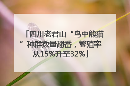 四川老君山“鸟中熊猫”种群数量翻番，繁殖率从15%升至32%