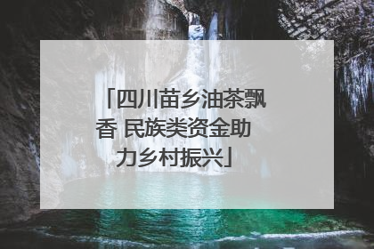 四川苗乡油茶飘香 民族类资金助力乡村振兴
