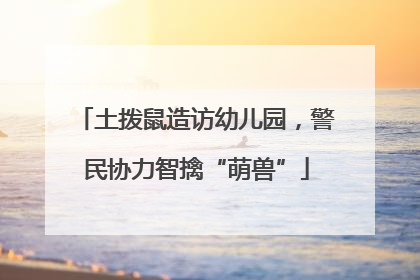 土拨鼠造访幼儿园，警民协力智擒“萌兽”