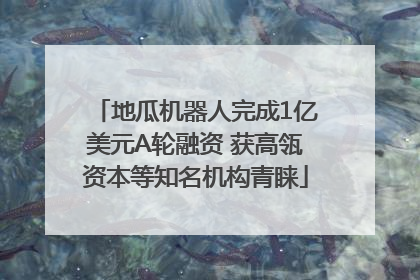 地瓜机器人完成1亿美元A轮融资 获高瓴资本等知名机构青睐
