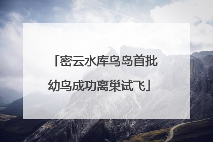 密云水库鸟岛首批幼鸟成功离巢试飞