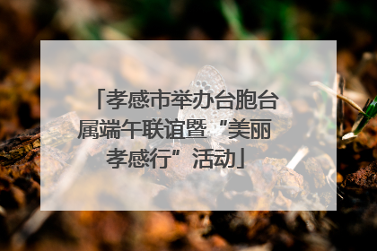 孝感市举办台胞台属端午联谊暨“美丽孝感行”活动