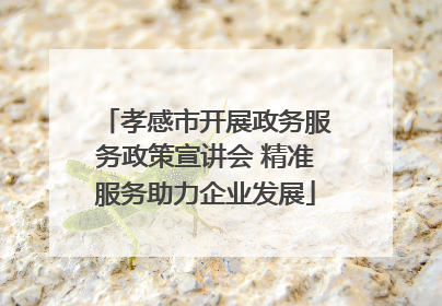 孝感市开展政务服务政策宣讲会 精准服务助力企业发展